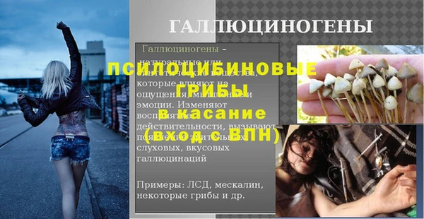 ешки Алексин